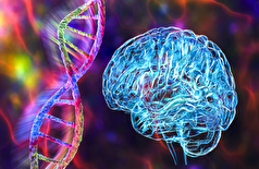 در یک پیشرفت غیرمنتظره که راه را برای درمان‌های مؤثر هموار می‌کند، علت احتمالی یک بیماری عصبی ویرانگر کشف شده است!