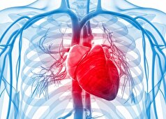 به کمک این رژیم غذایی به سلامت قلب تان کمک کنید