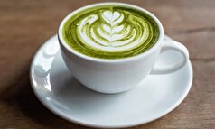 صفر تا صد نکات کلیدی برای تهیه چای ماچا اصیل و غلیظ