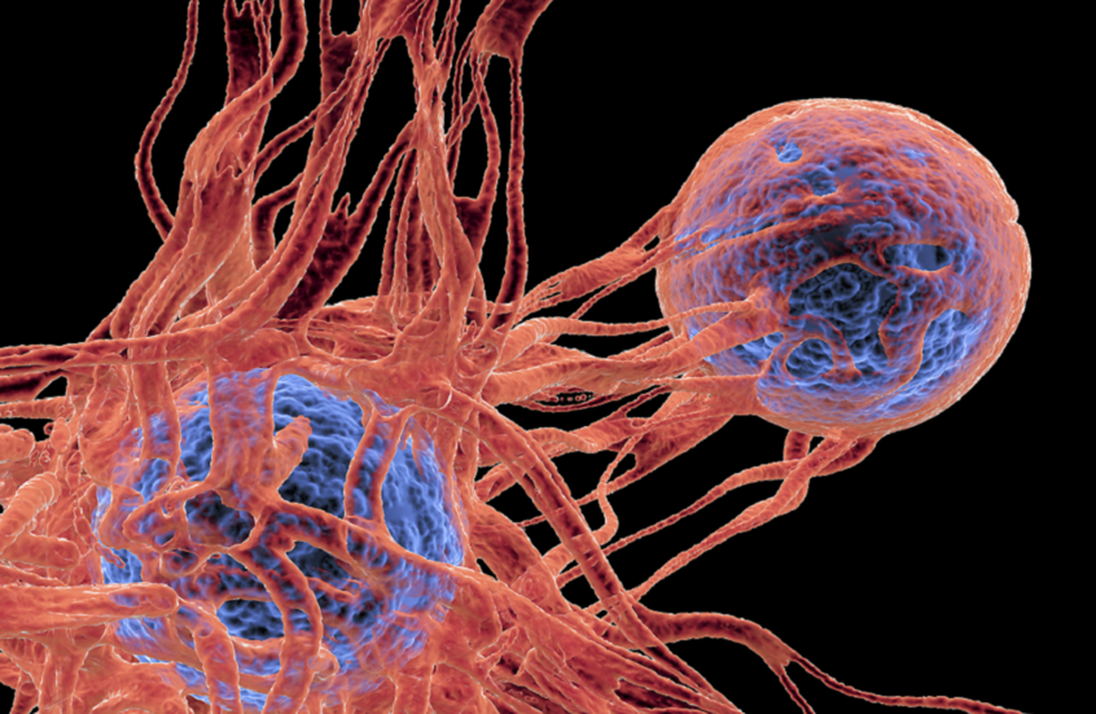 نوآوری دارویی جدید با اثربخشی استثنایی در برابر انواع مختلف سرطان