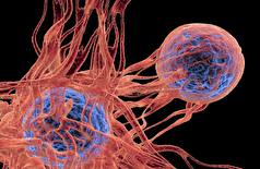 نوآوری دارویی جدید با اثربخشی استثنایی در برابر انواع مختلف سرطان