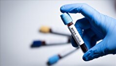 سازمان جهانی بهداشت: «ام پاکس» در کشور‌های بیشتری شناسایی شده است