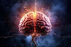 چند تکنیک طلایی برای تقویت حافظه اسامی