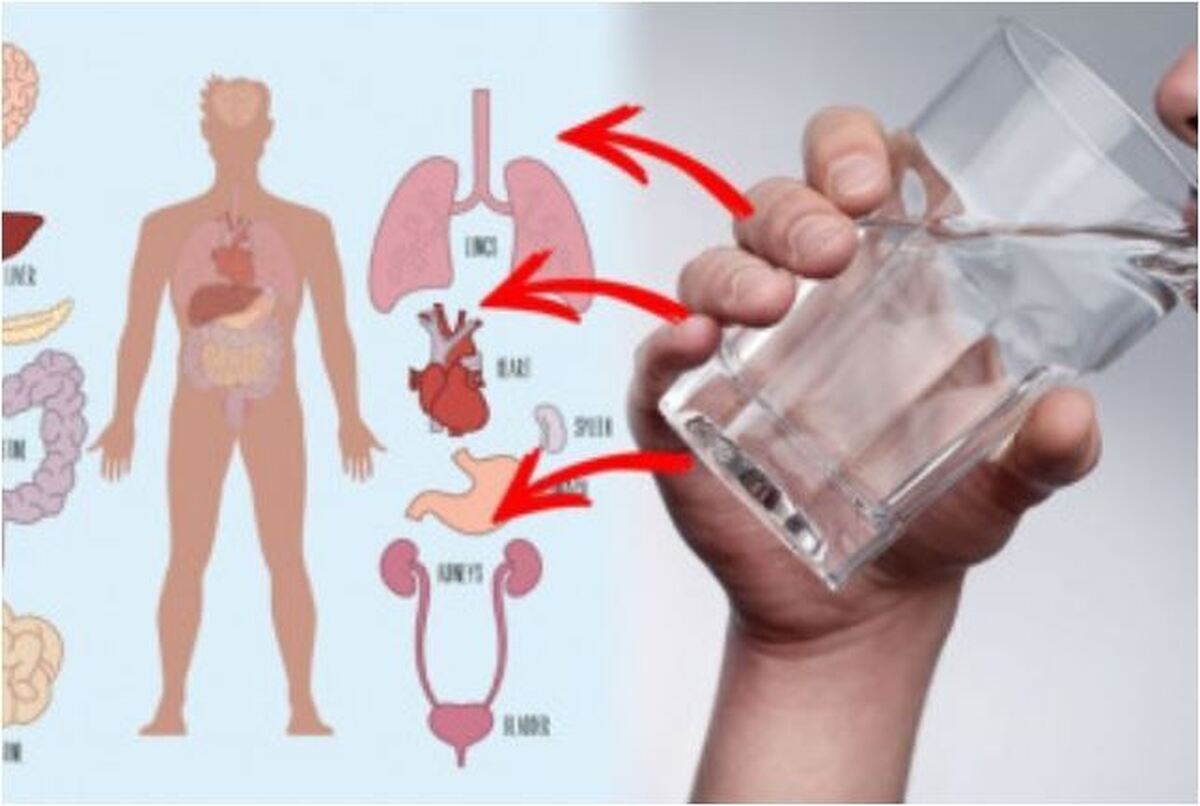 چرا به نوشیدن روزانه یک لیوان آب گرم به صورت ناشتا توصیه میشود؟