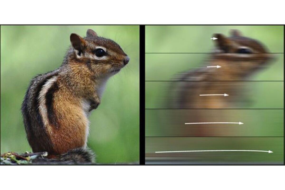 دانشمندان کشف کردهاند که برخی از اشیاء با چشم انسان قابل مشاهده نیستند