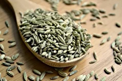 رازیانه چه تاثیراتی بر سلامت زنان دارد؟