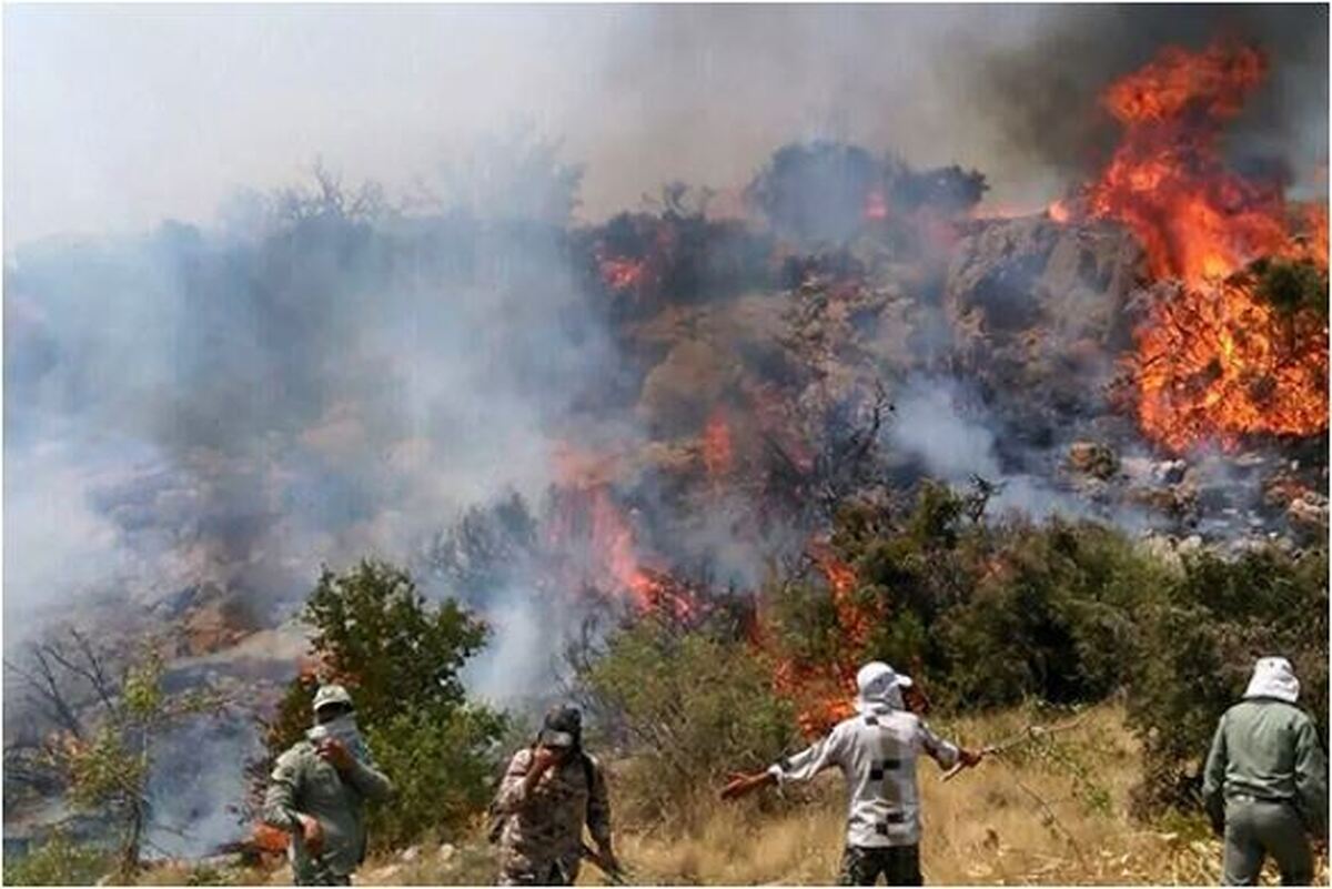 منشا آتش سوزی‌ها در منطقه الیت پیدا شد