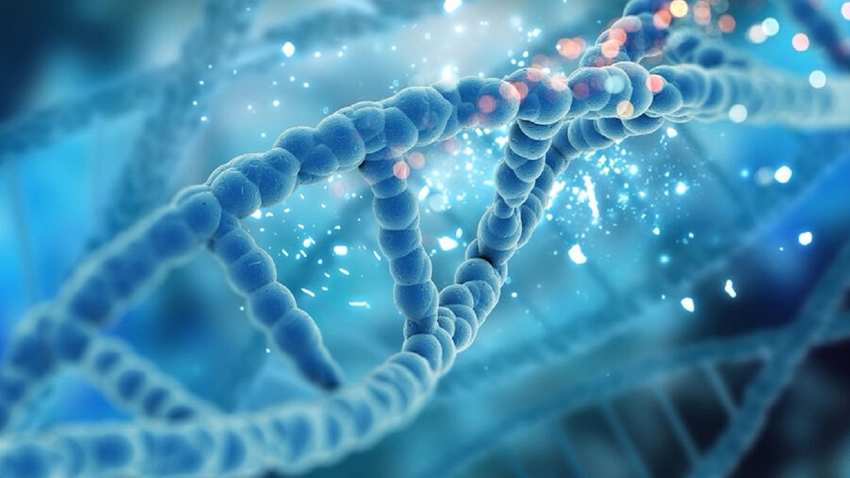 بررسی نقش ژن‌ها در طول عمر!