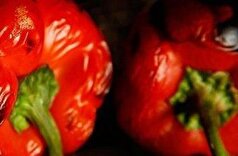 آموزش تهیه فلفل دلمه‌ای کبابی در ۳ مرحله