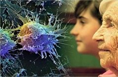یک پیشرفت علمی که سلول‌ها را دوباره فعال می‌کند و درمان بیماری‌های مرتبط با سن را بهبود می‌بخشد