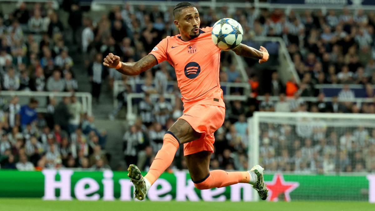 رافینیا باعث ایجاد شور و هیجان می‌شود