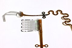 دانشمندان یک ایمپلنت ساقه مغز انعطاف‌پذیر برای بازیابی شنوایی ساخته‌اند.