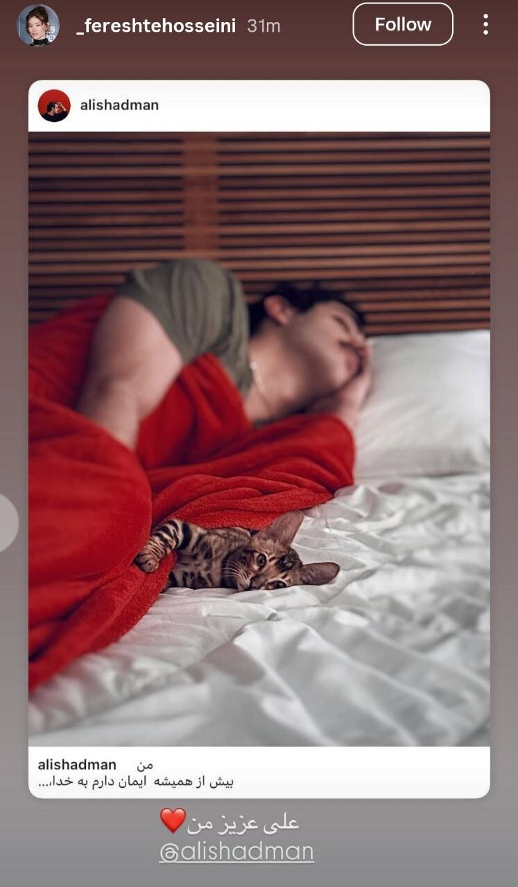 فرشته حسینی با یک متن احساسی و قلب قرمز برای علی شادمان حاشیه ساز شد!