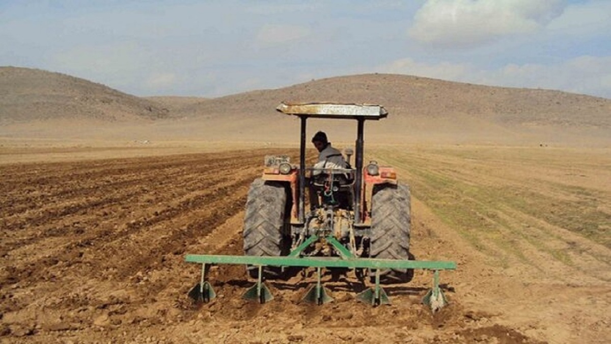 تحقق ۸۴ درصدی کشت زراعی در قزوین