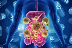 بدن با چه نشانه‌هایی خبر از کمبود پروبیوتیک میدهد؟