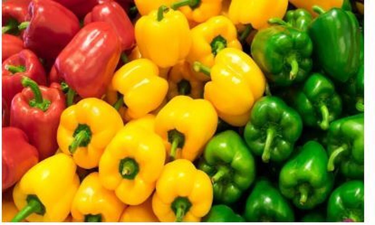 تقویت سیستم ایمنی بدن در روز‌های پاییزی با فلفل دلمه