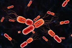 حصبه در حال تبدیل‌شدن به معضل جهانی!