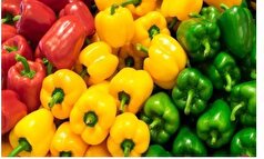 تقویت سیستم ایمنی بدن در روز‌های پاییزی با فلفل دلمه