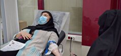 سهم ۴ درصدی بانوان یزدی از اهدای خون