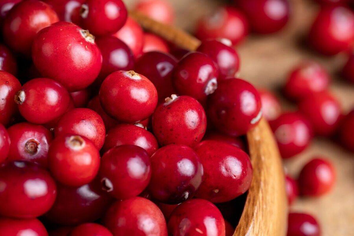 محصولاتی که عملکرد قلب را بهبود می‌بخشند، نامگذاری شده‌اند