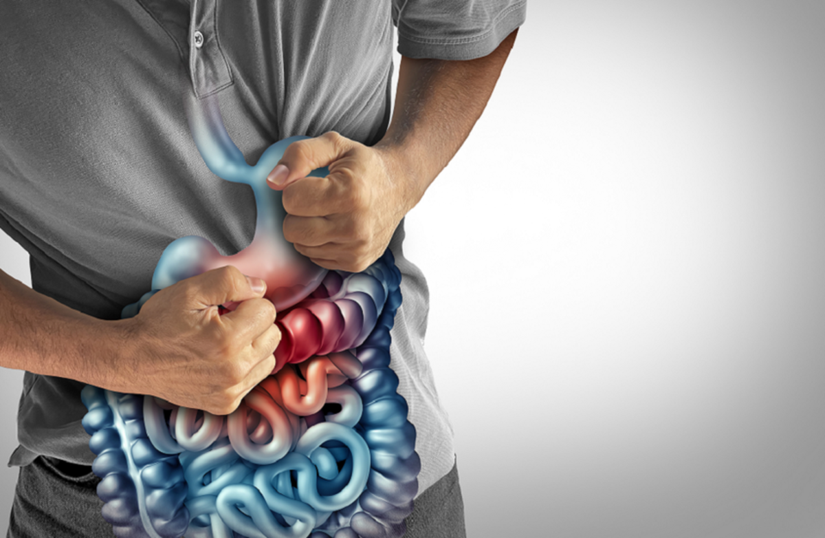 غذا‌هایی که به بازیابی میکروبیوم روده کمک می‌کنند