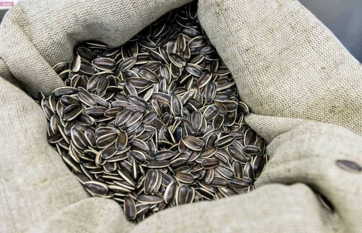 تخمه آفتابگردان یک ابرغذا است که باعث صرفه‌جویی در زمان و هزینه صرف شده برای محصولات مراقبت از پوست می‌شود.