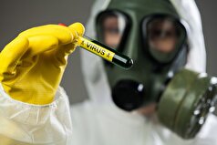 ویروس آنفولانزای مرغی در برابر افزایش دمای بدن مقاوم شده است.