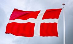 دانمارک خواستار توضیح اوکراین درباره فساد کارخانه فایرپوینت شد