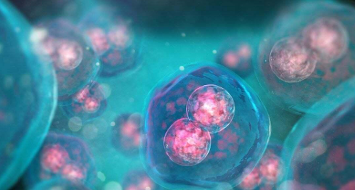 چرا سرعت رشد سلول‌ها حتی با مصرف مواد مغذی کاهش می‌یابد؟