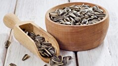 بدن شما از شما تشکر خواهد کرد: دلایلی برای خوردن تخمه آفتابگردان