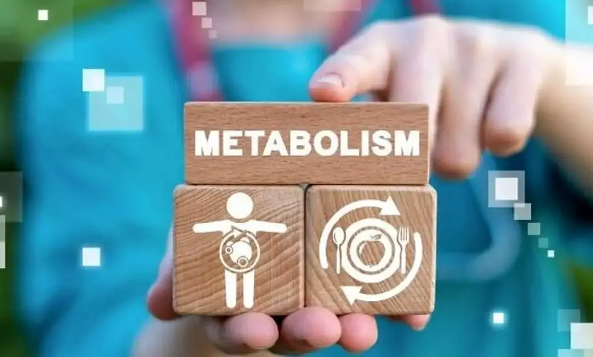 متابولیسم بدن تحت تاثیر چه عواملی است؟