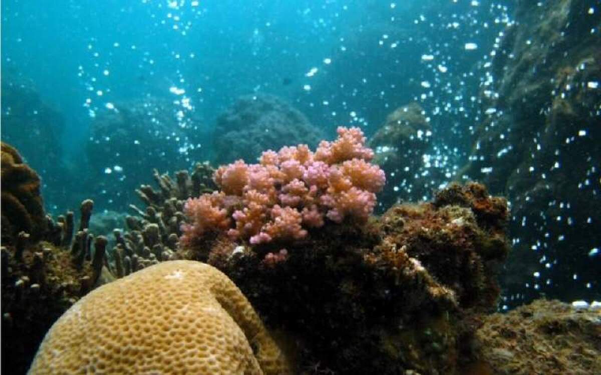 کشف اطلاعاتی عجیب از حباب‌های گاز آتشفشانی!