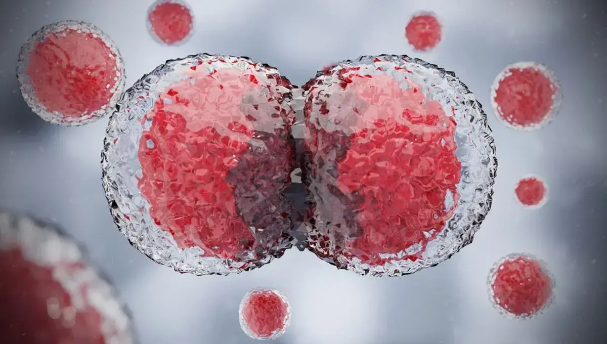 سلول‌ها چطور وظایف خود را به درستی انجام میدهند؟