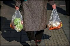 نرخ تورم میوه و خشکبار در رتبه اول نسبت به خوراکی‌های دیگر