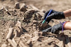 یک پای مرموز متعلق به یکی از خویشاوندان انسان‌های باستانی در اتیوپی کشف شد.