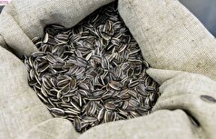 تخمه آفتابگردان یک ابرغذا است که باعث صرفه‌جویی در زمان و هزینه صرف شده برای محصولات مراقبت از پوست می‌شود.