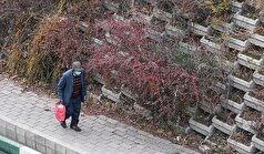 رشد ۲۰ درصدی فوتی‌ها با آغاز آلودگی هوای تهران/ تنها راه تغییر مدل حکمرانی است