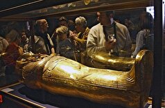 مدیر موزه آرمیتاژ جنجال‌هایی را در مورد مصر و موزه بزرگ مصر آن برانگیخت