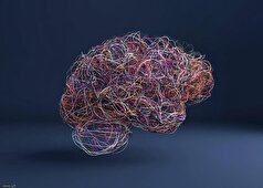 مغز انسان خاطرات منفی را بیشتر دوس دارد!