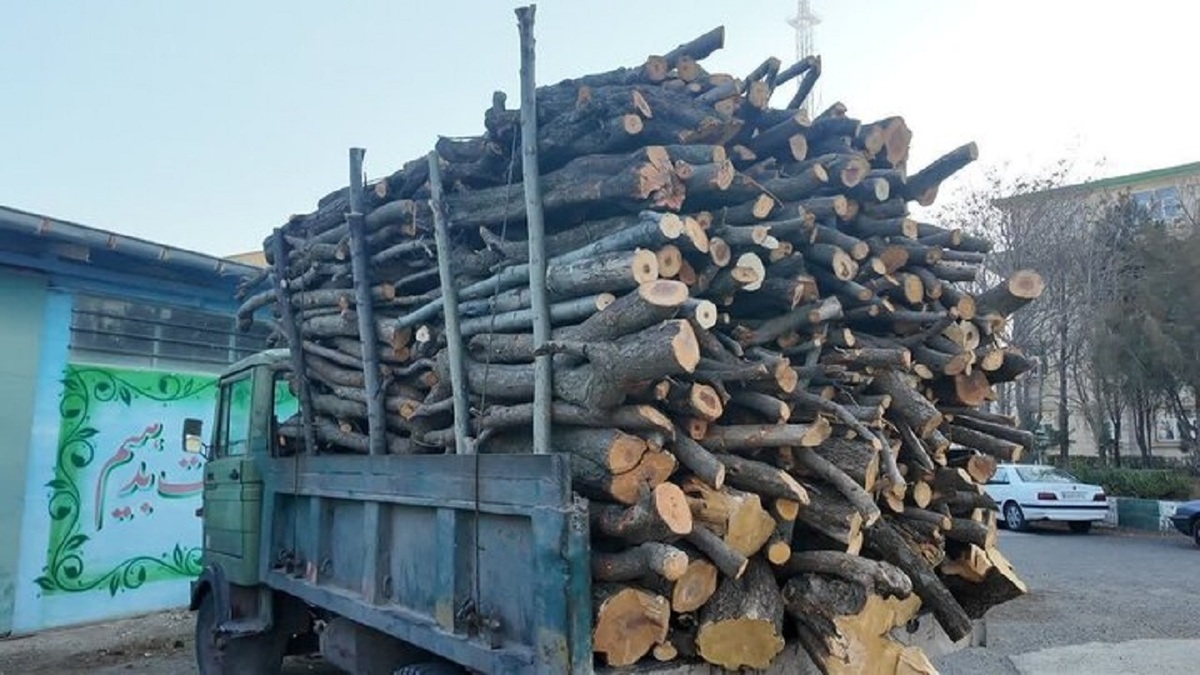 کشف و ضبط ۴ تن هیزم جنگلی در استان اردبیل