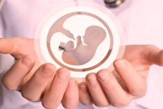 میکروبیوتای واژن چه تاثیری بر باروری و سلامتی بانوان دارد؟