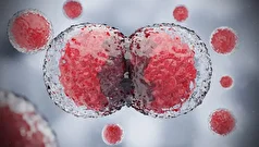 سلول‌ها چطور وظایف خود را به درستی انجام میدهند؟