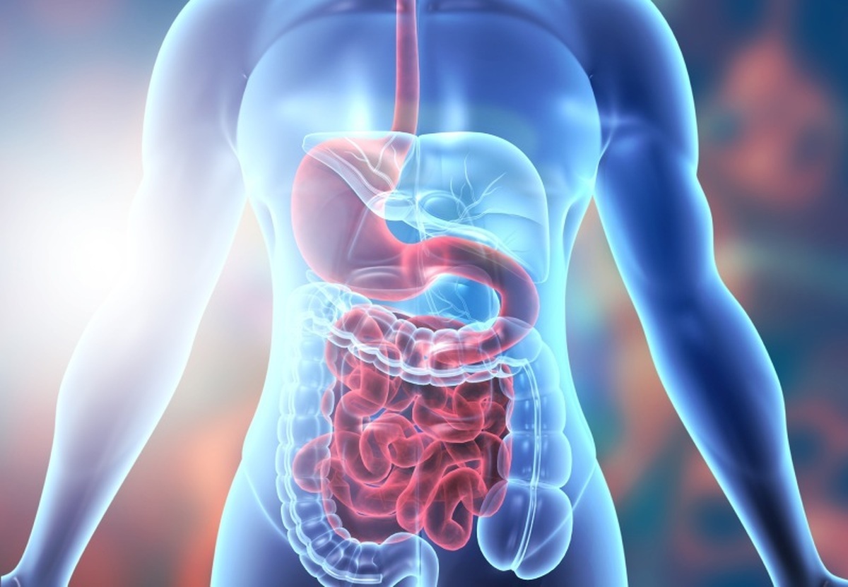 دانشمندان از تأثیر خطرناک آفت‌کش‌ها بر عملکرد روده نگران هستند.