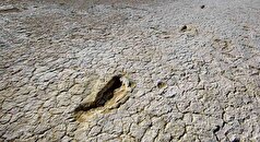 ماجرای دیده شدن جمجمه و چند قطعه استخوان متعلق به انسان در شور آباد