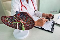 پزشکان راه‌های ساده‌ای را برای محافظت از کبد در برابر اضافه بار شناسایی کرده‌اند.