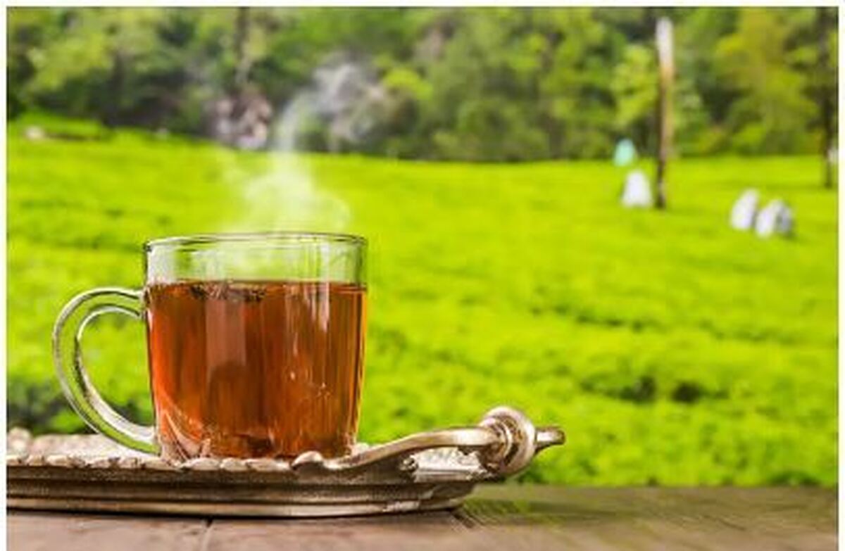 نقش چای در کمبود آهن و باید و نباید‌ها درباره مصرف آن