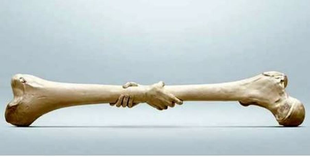 راهی نو برای بازگرداندن استحکام استخوان‌های تحلیل‌رفته ممکن شد