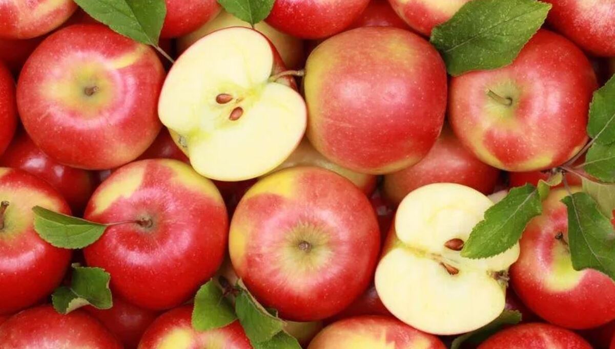 سیب ممکن است از چاقی و بیماری آلزایمر جلوگیری کند