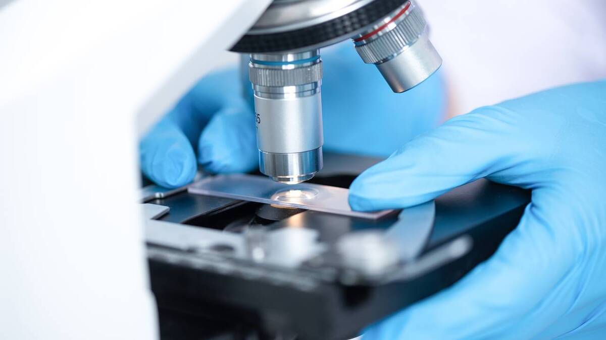 تزریق پپتیدی که آنزیم را هدف قرار می‌دهد ممکن است بیماری آلزایمر را معکوس کند