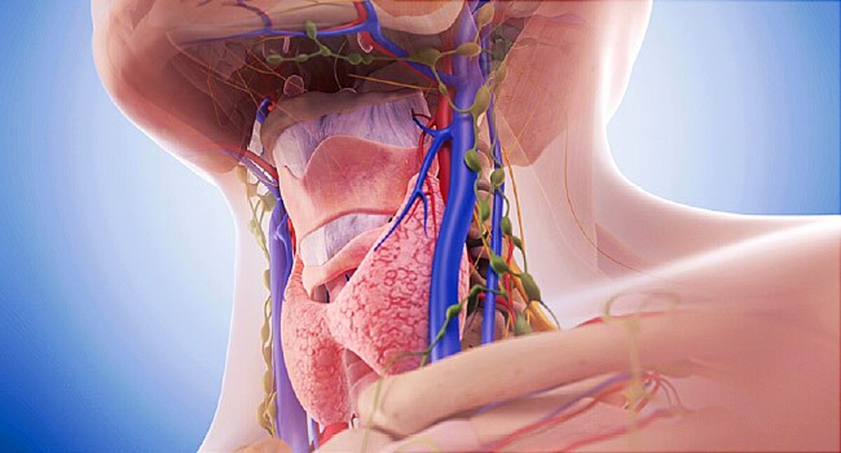 از دست دادن صدا می‌تواند با بیماری تیروئید و تعدادی از بیماری‌های دیگر همراه باشد.
